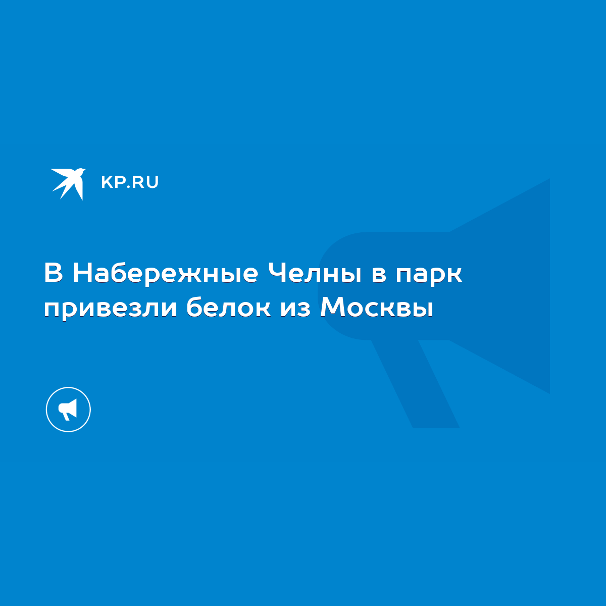 В Набережные Челны в парк привезли белок из Москвы - KP.RU