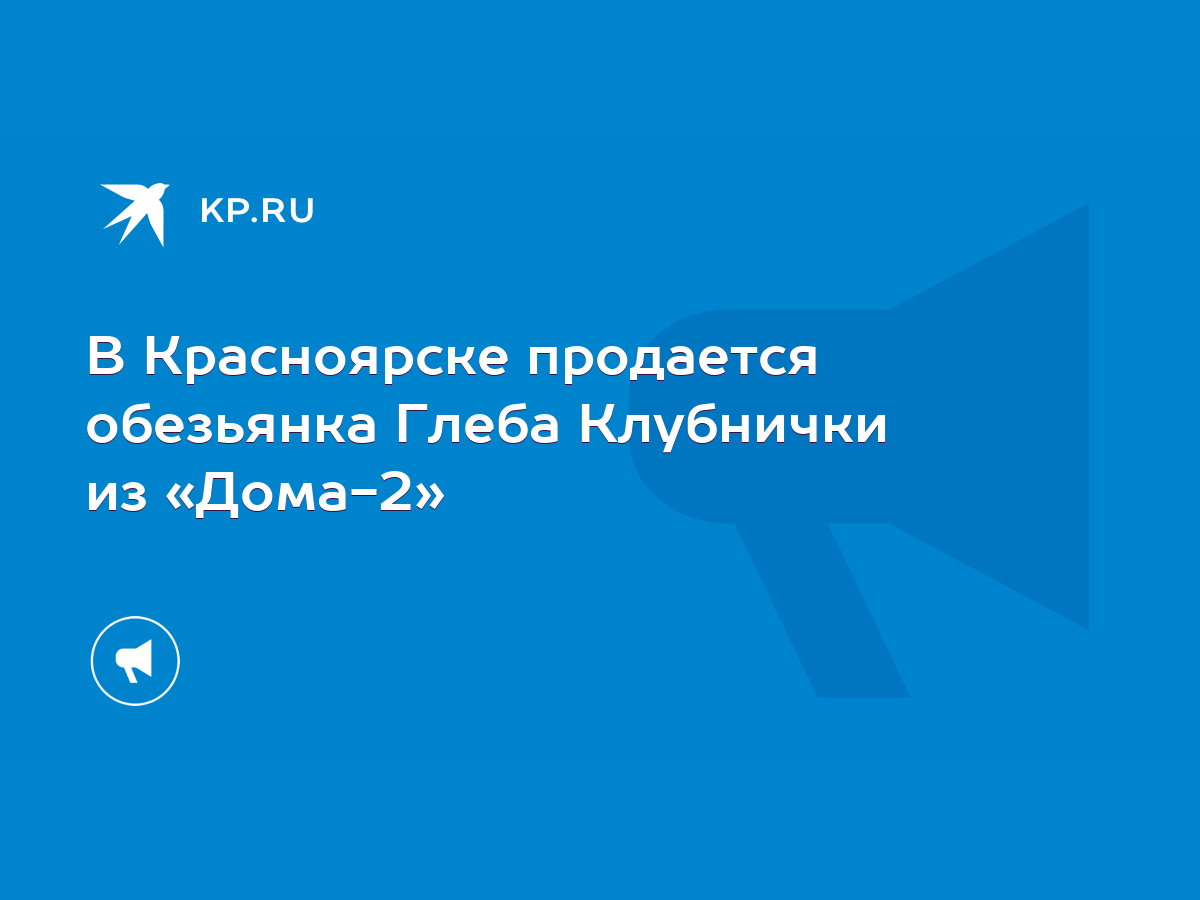 В Красноярске продается обезьянка Глеба Клубнички из «Дома-2» - KP.RU