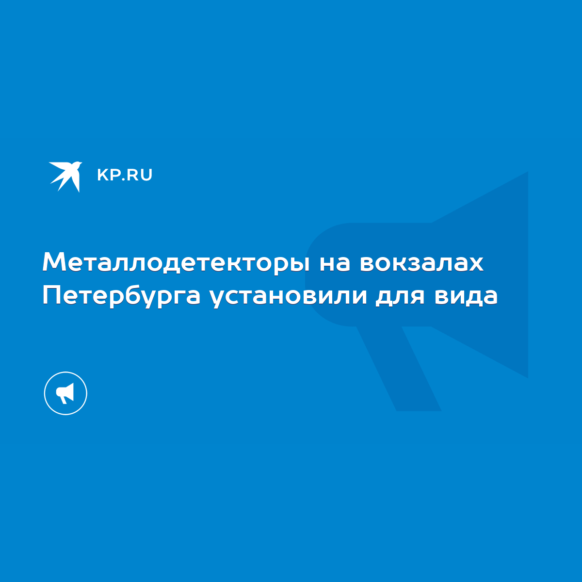 Металлодетекторы на вокзалах Петербурга установили для вида - KP.RU