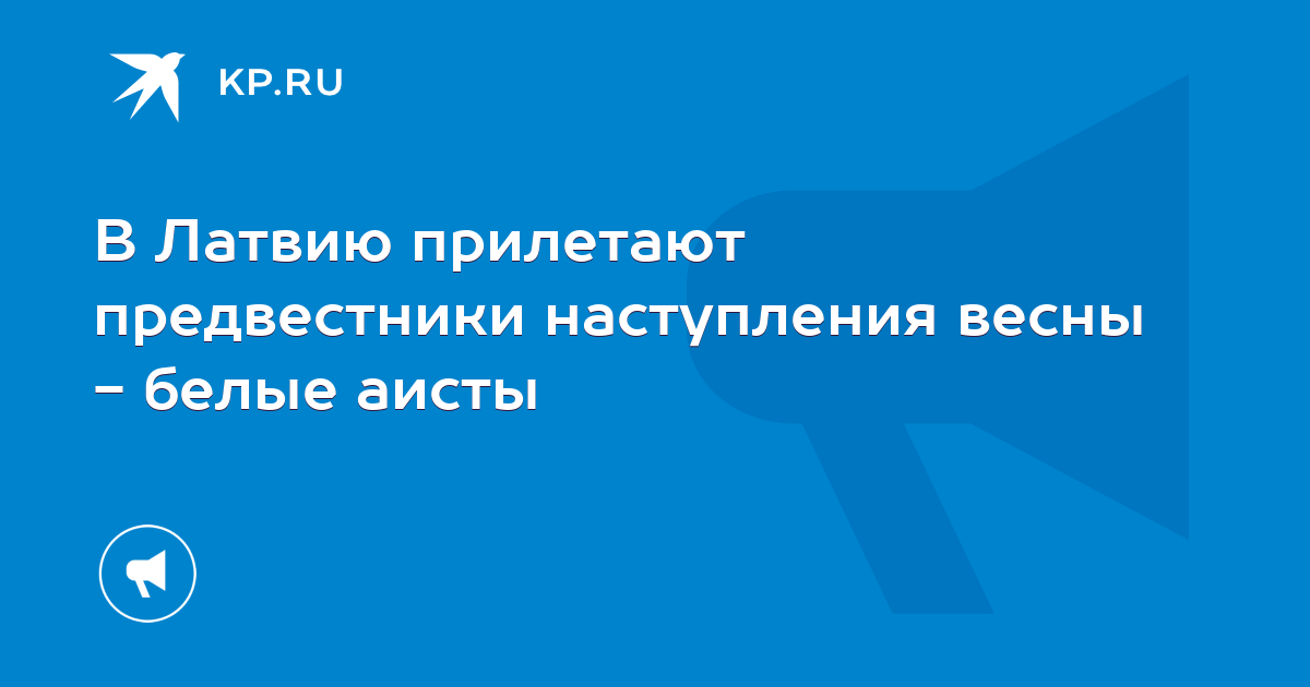 В Латвию прилетают предвестники наступления весны - белые аисты - KP.RU