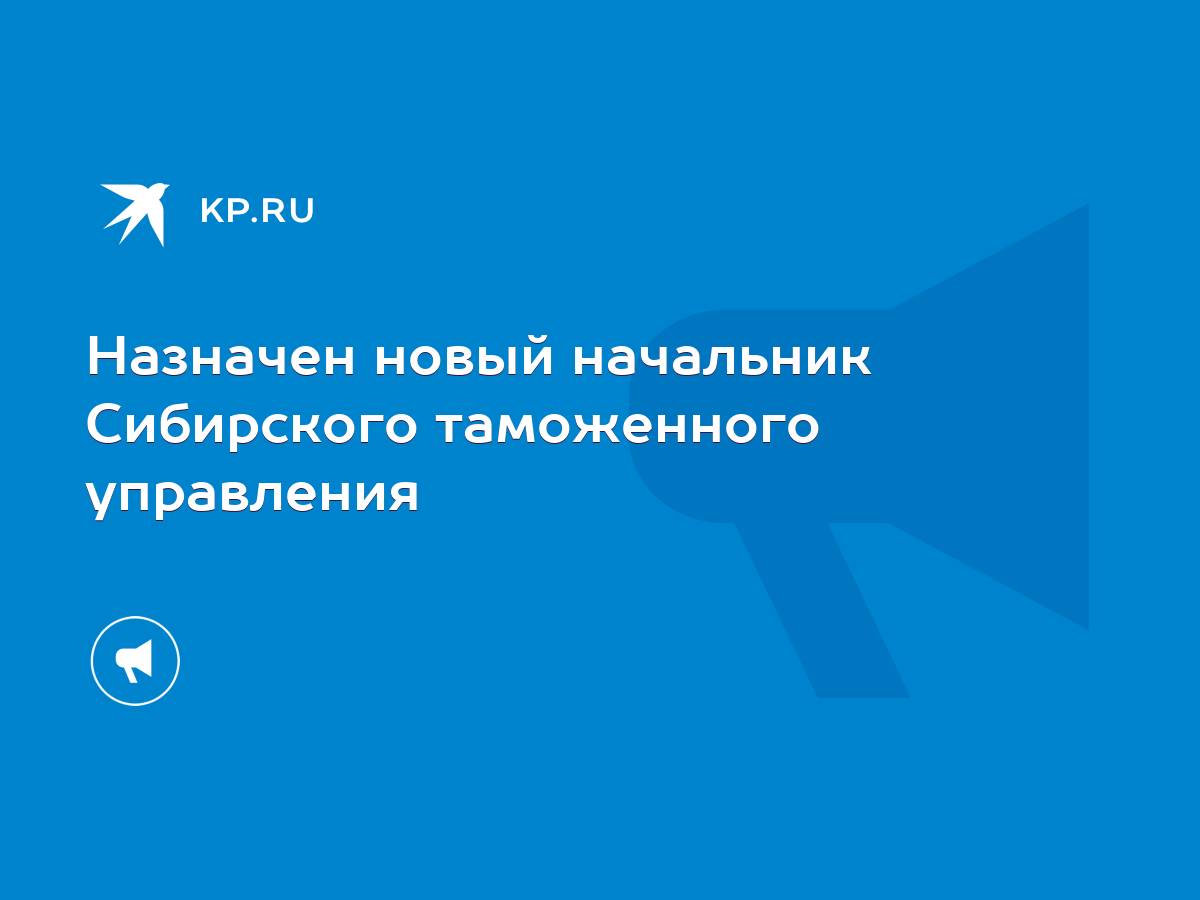 Назначен новый начальник Сибирского таможенного управления - KP.RU