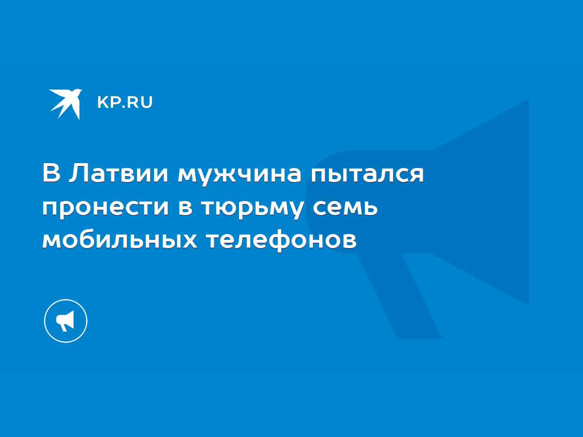 В Латвии мужчина пытался пронести в тюрьму семь мобильных телефонов - KP.RU