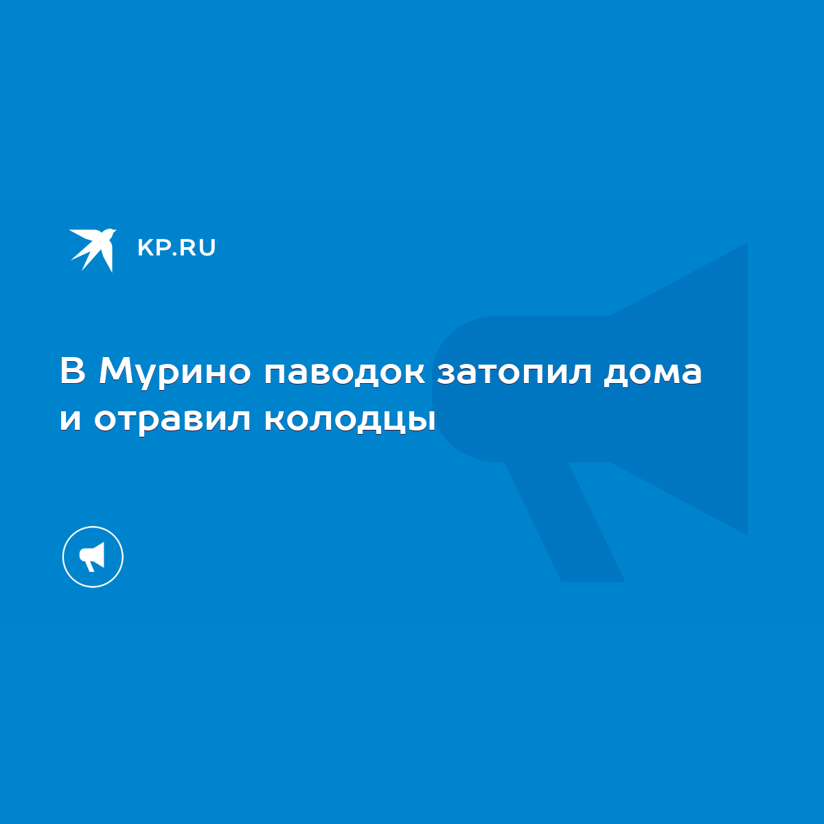 В Мурино паводок затопил дома и отравил колодцы - KP.RU