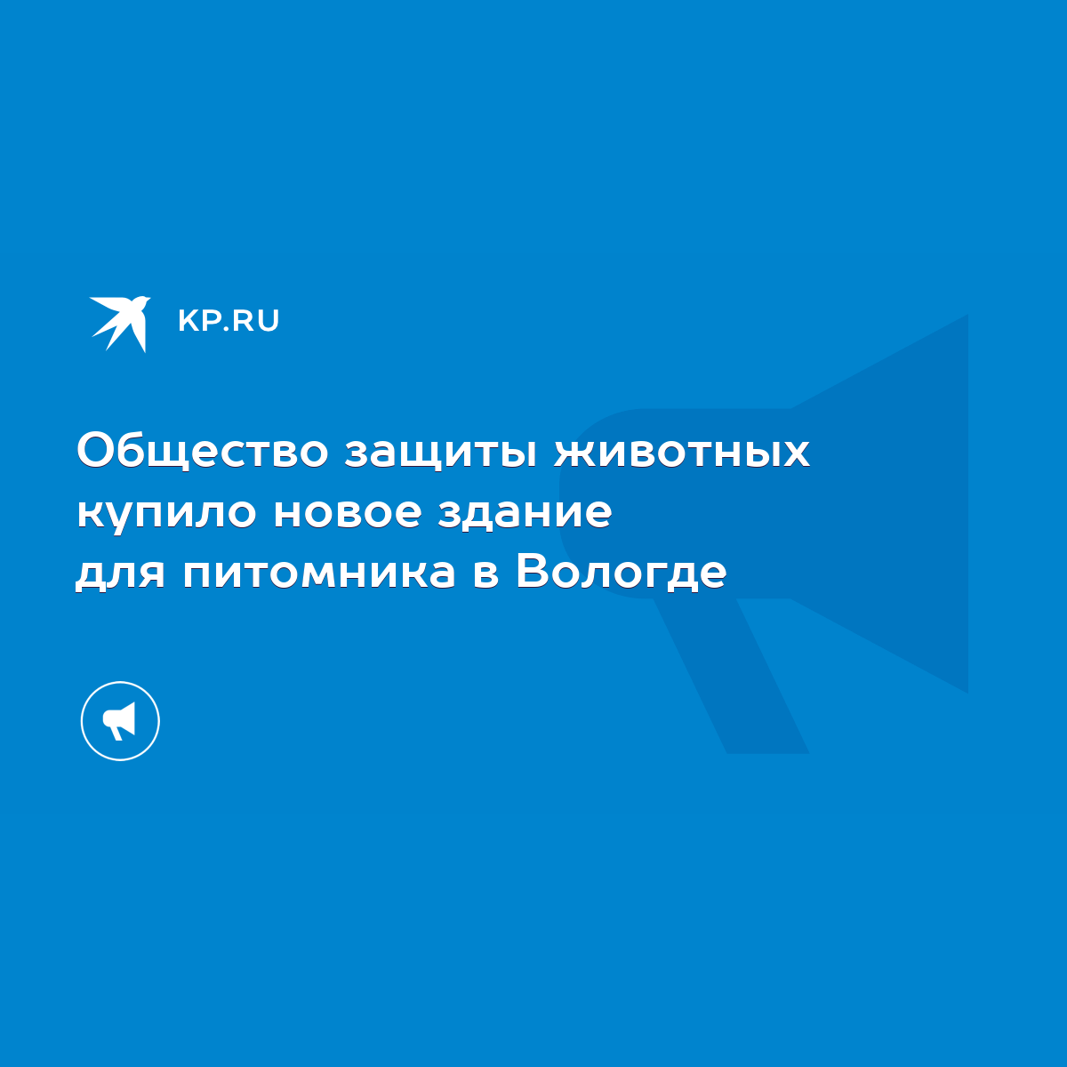 Общество защиты животных купило новое здание для питомника в Вологде - KP.RU