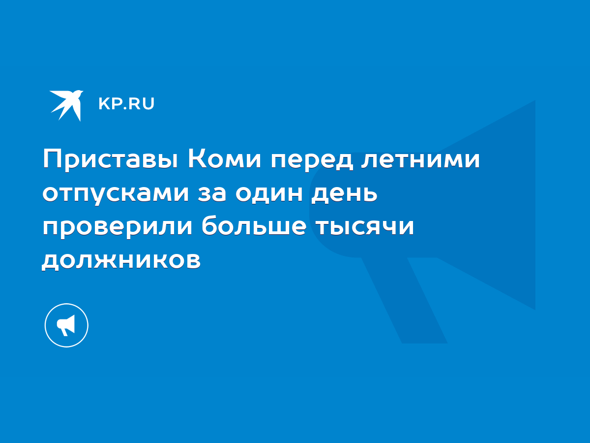 Приставы Коми перед летними отпусками за один день проверили больше тысячи  должников - KP.RU