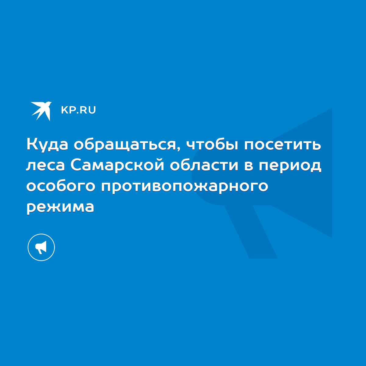 Куда обращаться, чтобы посетить леса Самарской области в период особого  противопожарного режима - KP.RU