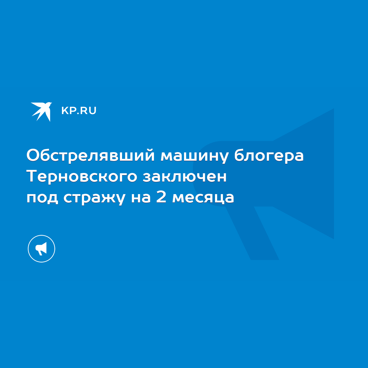 Обстрелявший машину блогера Терновского заключен под стражу на 2 месяца -  KP.RU