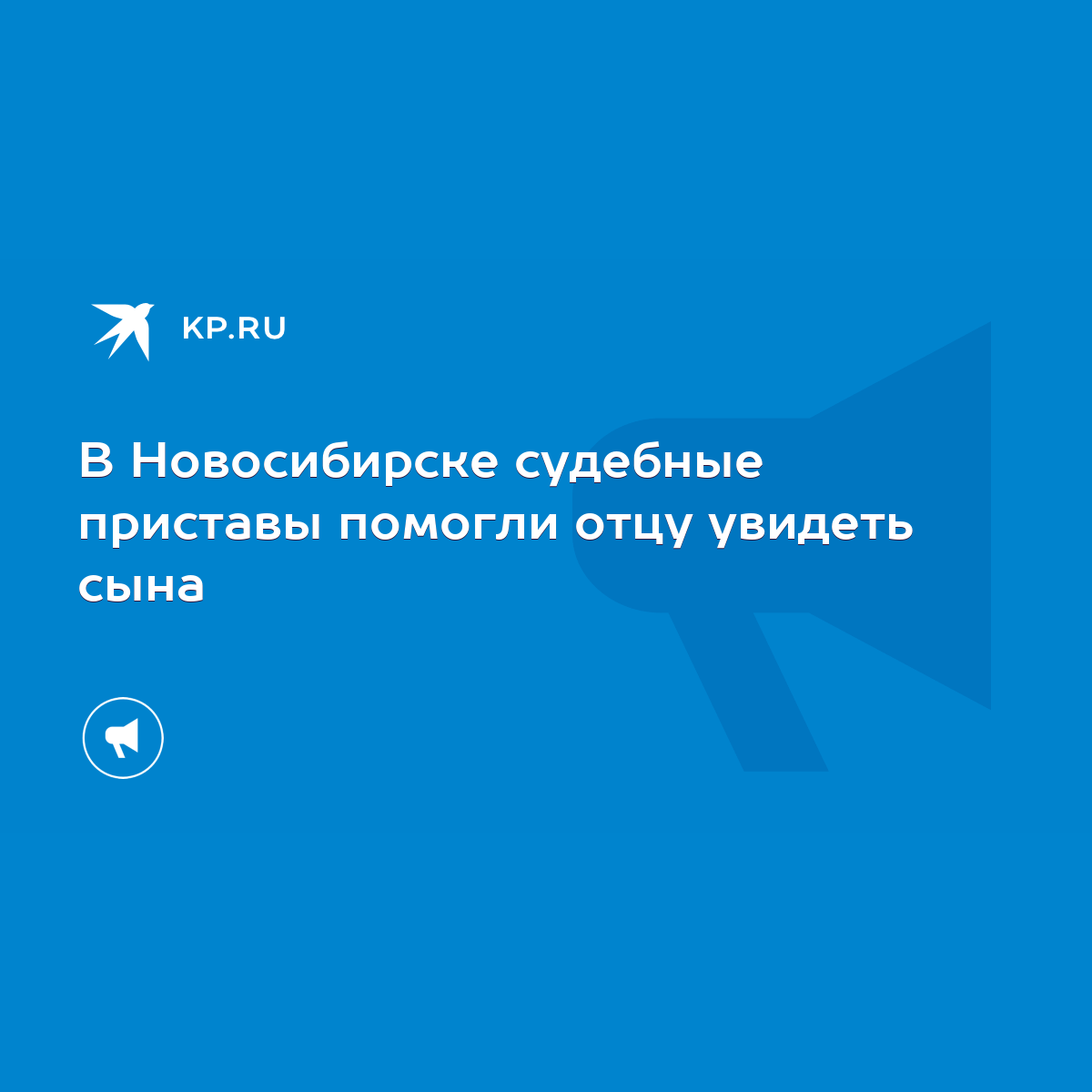 В Новосибирске судебные приставы помогли отцу увидеть сына - KP.RU