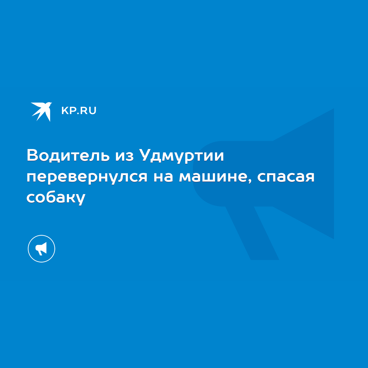 Водитель из Удмуртии перевернулся на машине, спасая собаку - KP.RU