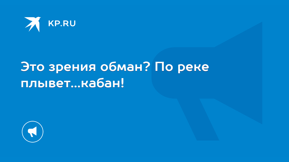 Это зрения обман? По реке плывет...кабан! - KP.RU