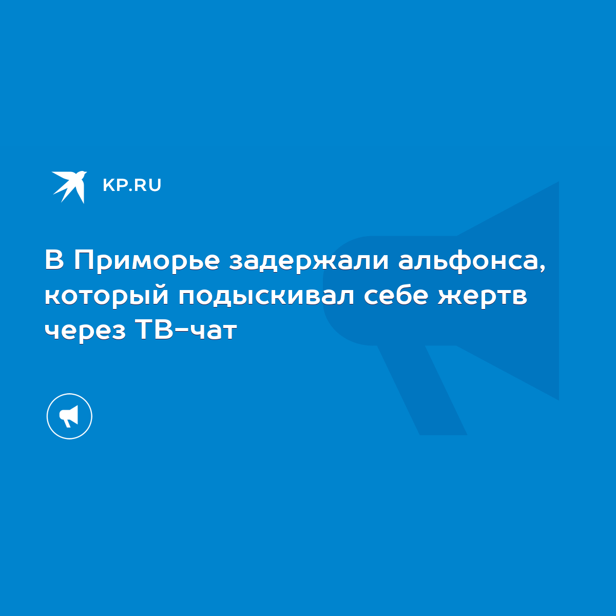 В Приморье задержали альфонса, который подыскивал себе жертв через ТВ-чат -  KP.RU