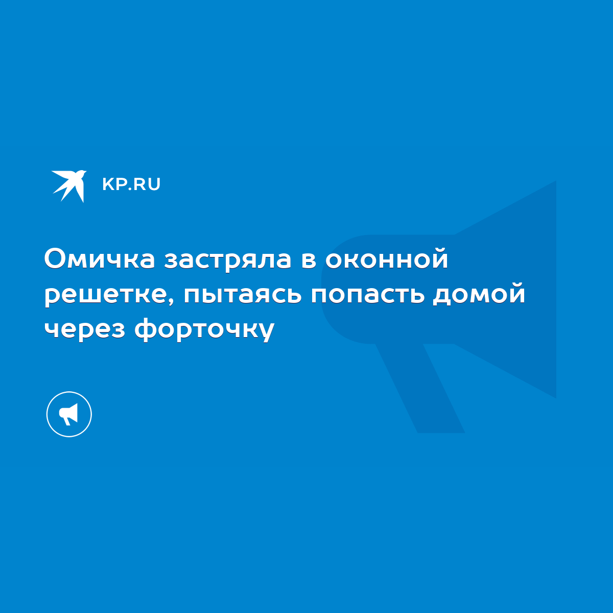 Омичка застряла в оконной решетке, пытаясь попасть домой через форточку -  KP.RU