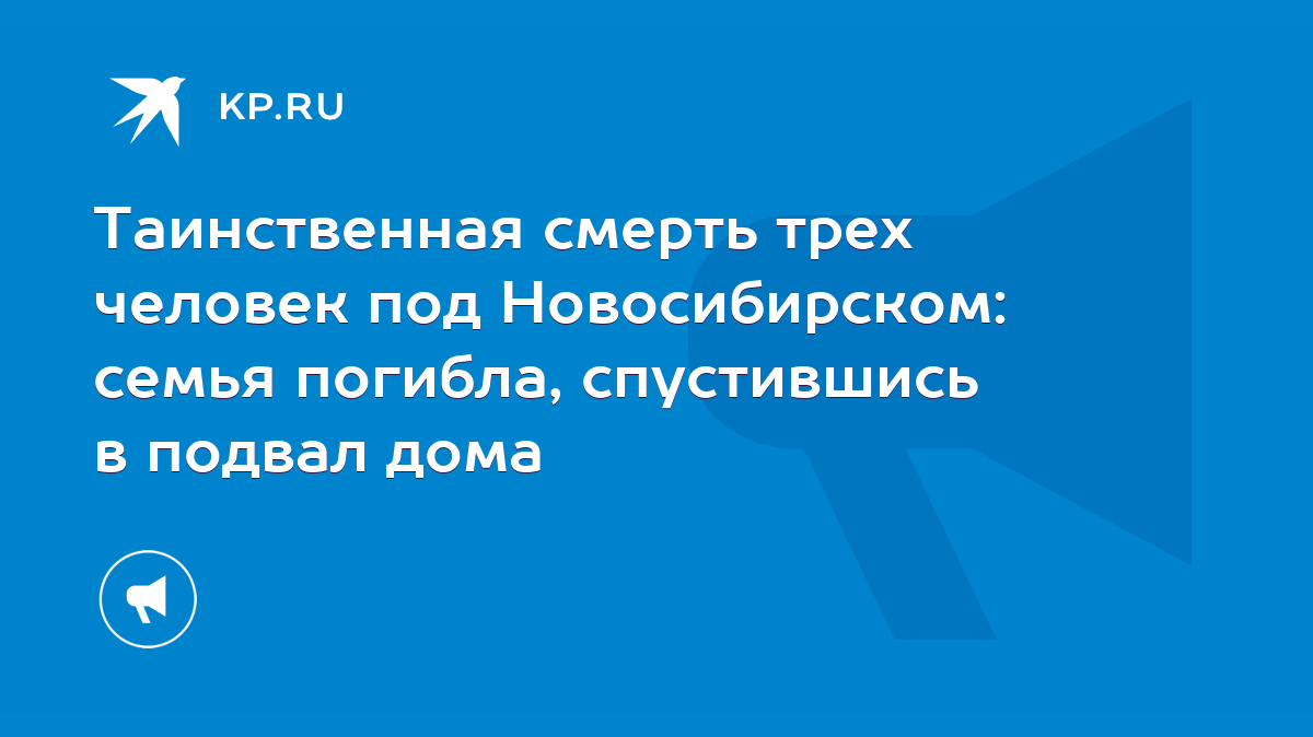 Таинственная смерть трех человек под Новосибирском: семья погибла,  спустившись в подвал дома - KP.RU