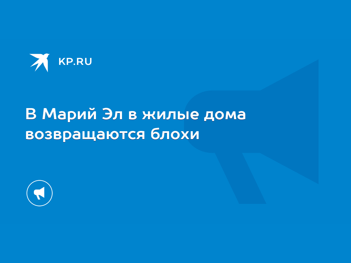 В Марий Эл в жилые дома возвращаются блохи - KP.RU