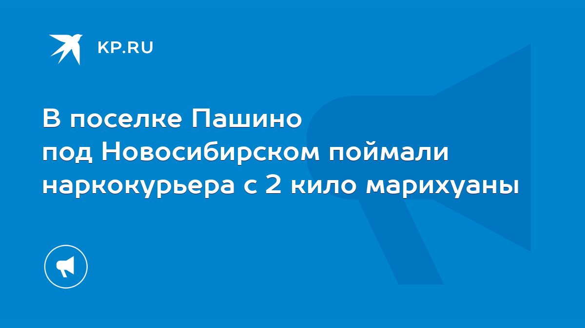 В поселке Пашино под Новосибирском поймали наркокурьера с 2 кило марихуаны  - KP.RU