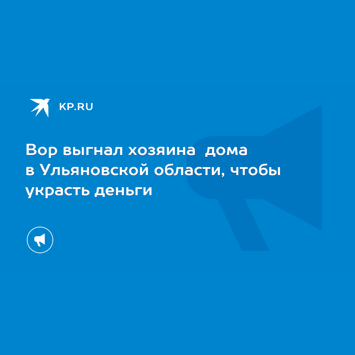 Вор выгнал хозяина дома в Ульяновской области, чтобы украсть деньги - KP.RU