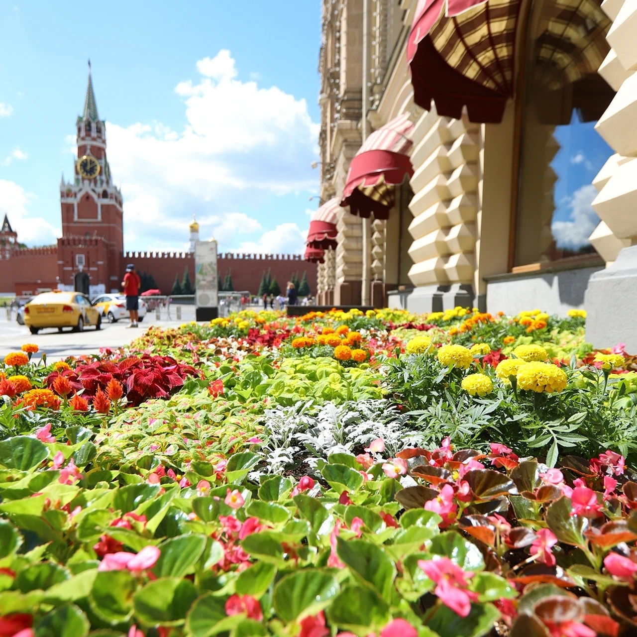 Идем гулять в Москве: Фестиваль арбузов, цветочный сад возле Кремля,  аттракционы в «Зарядье» - KP.RU